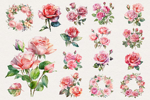 Pink Roses Watercolor Clipart. AI