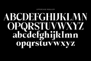 Briselle, a Serif Font by Propertype (Thumbnail 13 of 15)