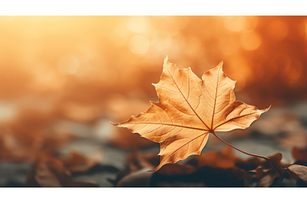 green foliage design sun close ai, a Nature Photo by pikepicture
