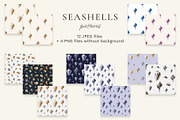 Seashells watercolor illustrations, an Illustration by JulShuman (Thumbnail 5 of 8)