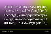 Segikan | SALE 60% OFF, a Serif Font by Areatype (Thumbnail 11 of 16)