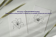 Floral Tattoo Essentials, a Brush Add-On by CaraulanStore (Thumbnail 6 of 8)