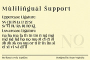 Berliana Lovely, a Serif Font by INKSUN™ (Thumbnail 8 of 13)