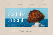 Diggie Brown | Modern Display Serif, a Serif Font by Denustudios (Thumbnail 5 of 12)