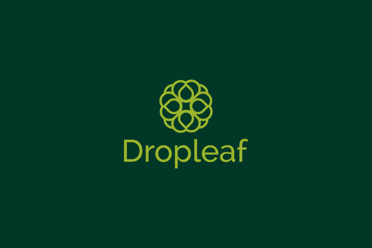 Dropleaf – Modern Nature Logo Design, a Branding & Logo Template by arhabib (Photo 12 of 13)