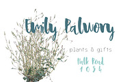 Lagom Font, a Script Font by SophieSaxo (Thumbnail 3 of 9)