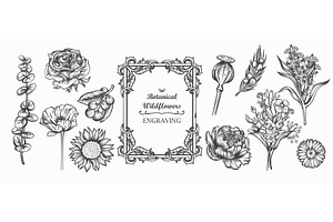 Botanical Wildflowers Engraved Set