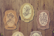 Herbs and spices. Vintage labels set, a Food Illustration by kateja (Thumbnail 5 of 8)