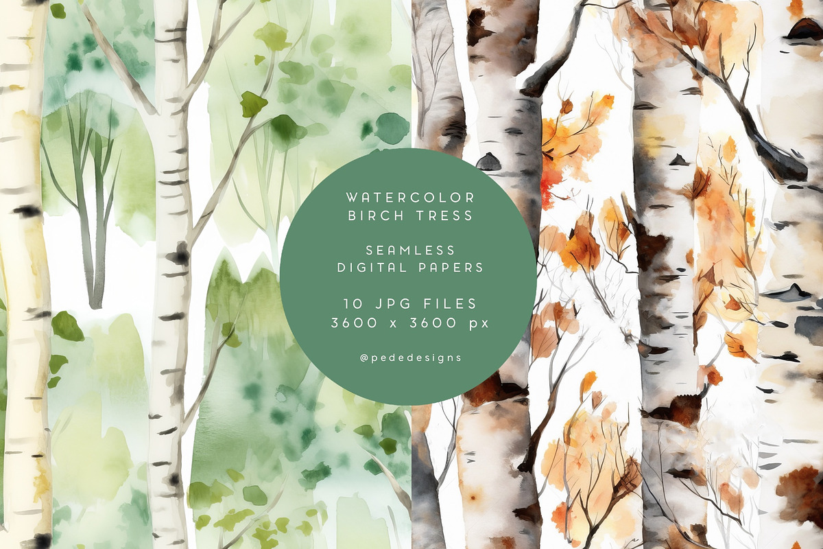 Watercolor Birch Trees, a Pattern Graphic by PeDe Designs (Photo 2 of 6)
