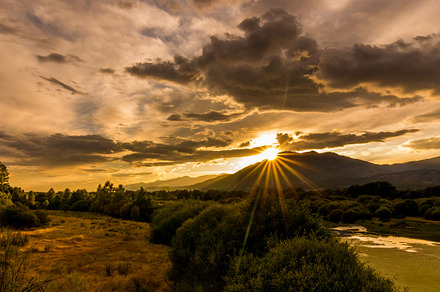Straw Sunset Ii Stock Photo Containing Straw And Sunset preview 5