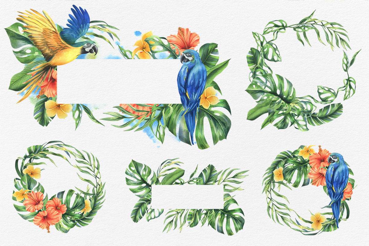 Parrots & tropical leaves watercolor, an Animal Illustration by NATASHA CHU (Photo 7 of 21)