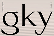 Rosaly – Fancy & Elegant Serif, a Serif Font by Local Desk Designstudio (Thumbnail 15 of 24)