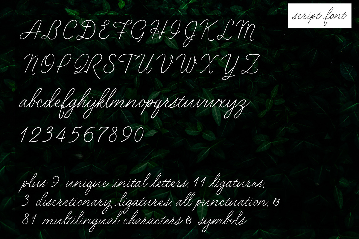 Secret Garden | Classic Font Duo preview 6