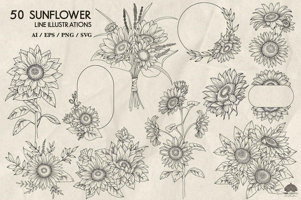 Sunflowers line art + Procreate, a Decorative Illustration by Skliarova (Photo 2 of 5)