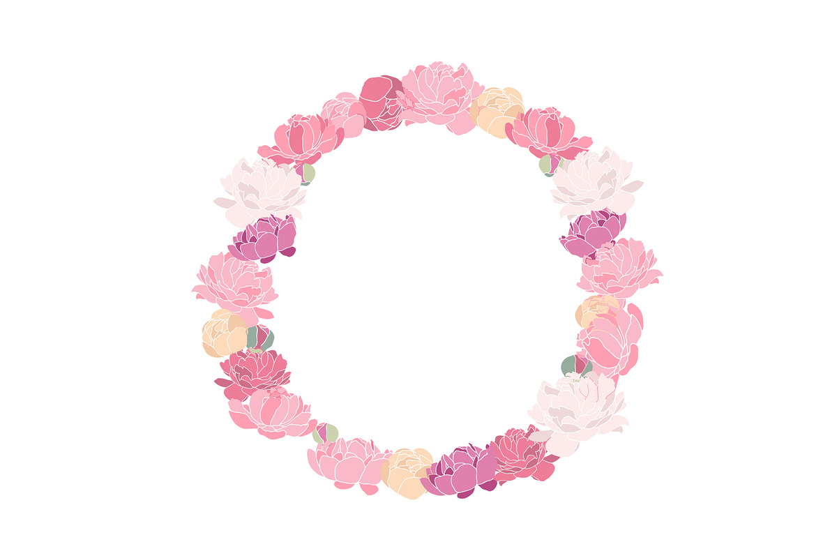 Flower Peonies preview 2