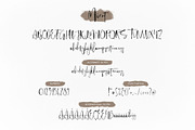 Mient Font + Bonus Illustration, a Script Font by vuuuds (Thumbnail 6 of 6)