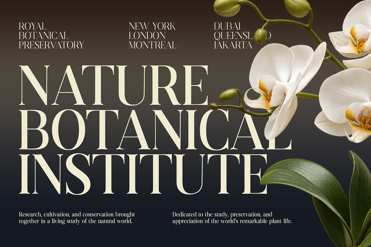 Evarnique, a Serif Font by Typehill (Photo 3 of 14)