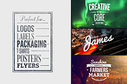 Vintage Logo & Insignia Bundle, a Branding & Logo Template by TomAnders (Thumbnail 3 of 4)