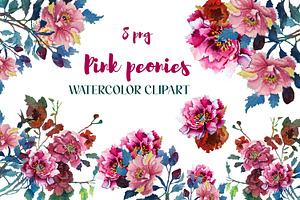 Pink Peonies Watercolor Clipart