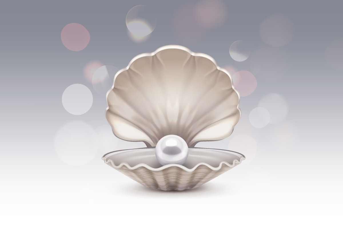 Sea Shell with Pearl, an Object Illustration by Zonda