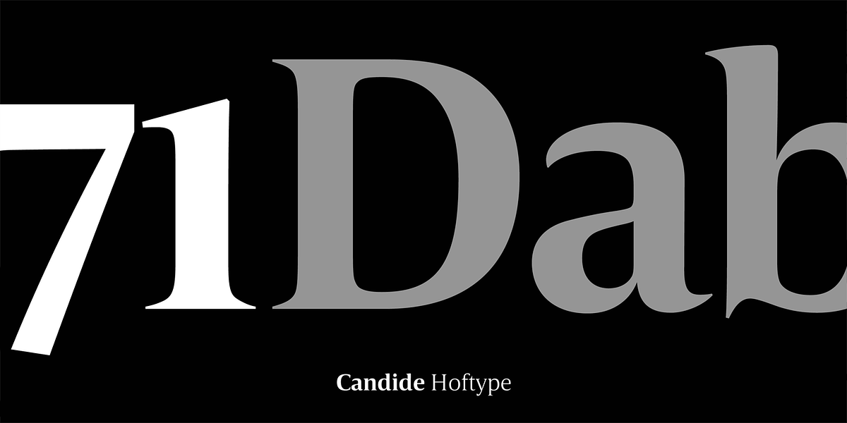 Candide, a Serif Font by Hoftype (Photo 12 of 16)