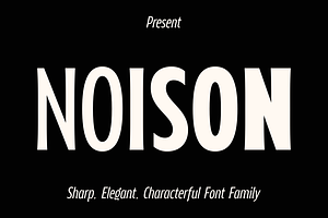 Noison Font Family