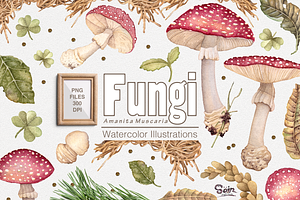 Fungi watercolor