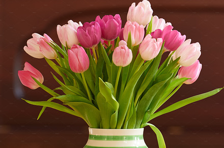 Tulips, a Photo by Peopleimages.com