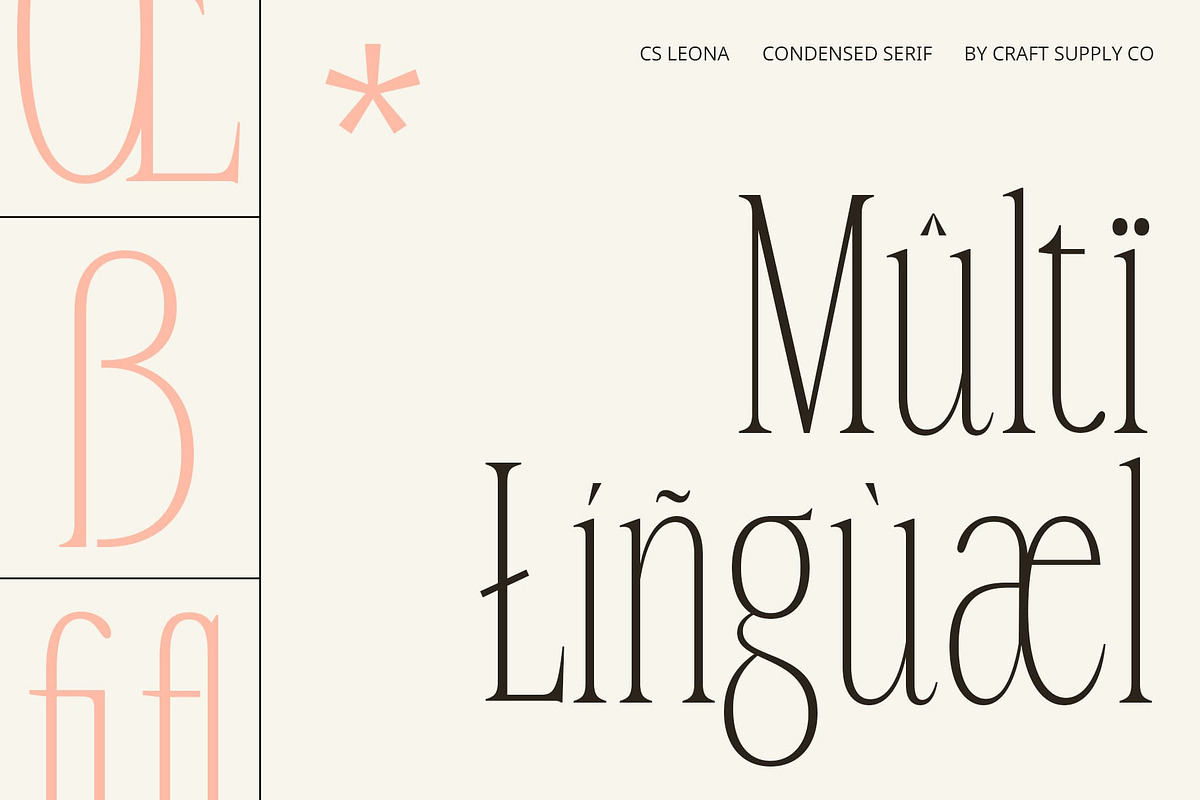 CS Leona – Condensed Font, a Serif Font by Craft Supply Co. (Photo 5 of 8)