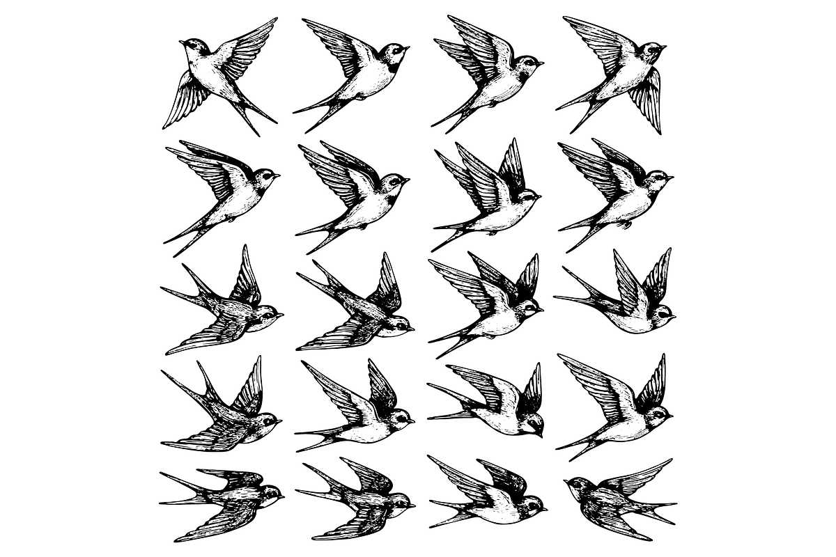 Swallow Bird Flying Illustration Set, an Object Graphic by nikagraphic