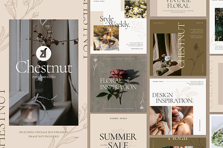 Chestnut social media template