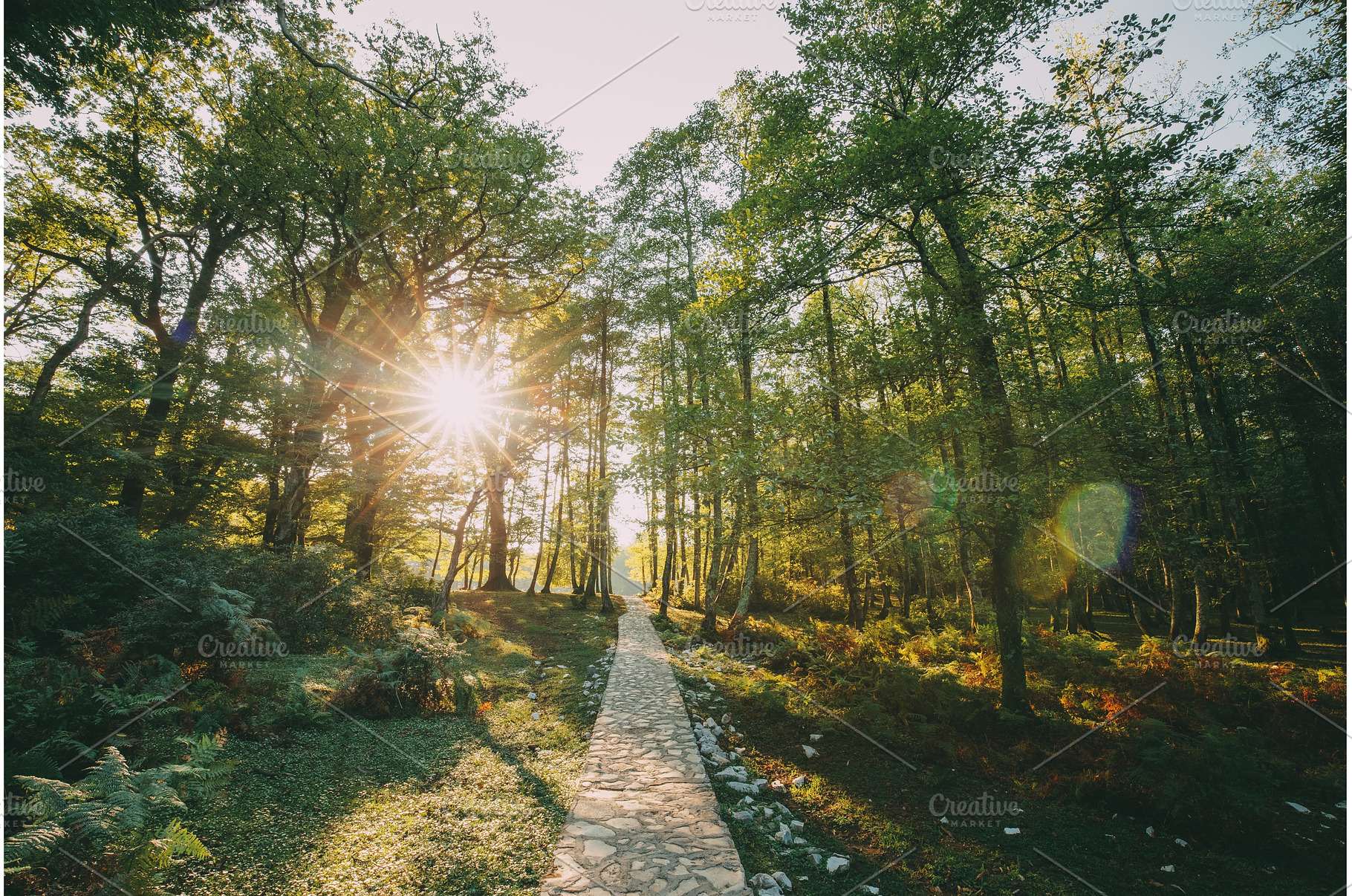 Zeda-gordi, Georgia. View Of Paved, a Nature Photo by Our Amazing World