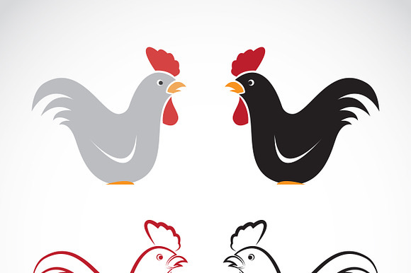 Vector Of A Chicken Design. Animals.