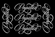 Beautiful Heliography Script, a Script Font by Has_rizal (Thumbnail 3 of 12)