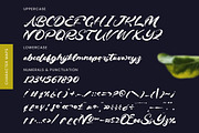 Drink South Bold Calligraphy Font, a Script Font by Letterena Studios Script (Thumbnail 18 of 20)