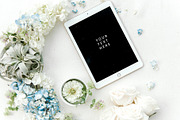 Bundled Modern White Stock Photos, a Business Photo by Lux Light (Thumbnail 6 of 10)
