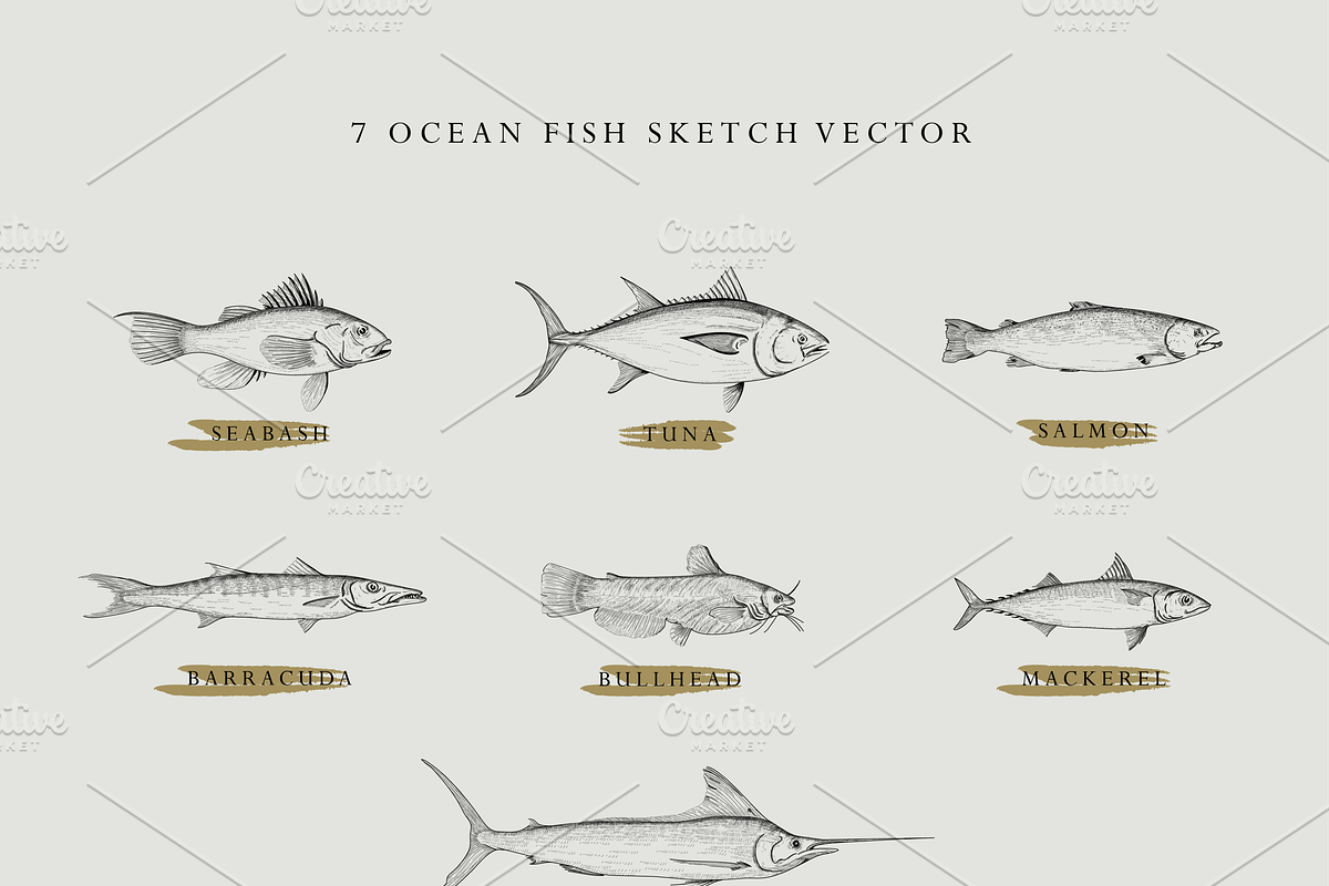 Ocean Fish Logo Vector, a Branding & Logo Template by AtasLayar