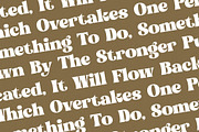 Bogien Seralu Modern Retro Serif, a Serif Font by Letterena Studios (Thumbnail 10 of 15)