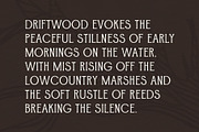 Driftwood, a Serif Font by Fairwren Creative (Thumbnail 3 of 6)