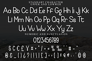 Family Saturday, a Sans Serif Font by FreshTypeINK (Thumbnail 5 of 8)