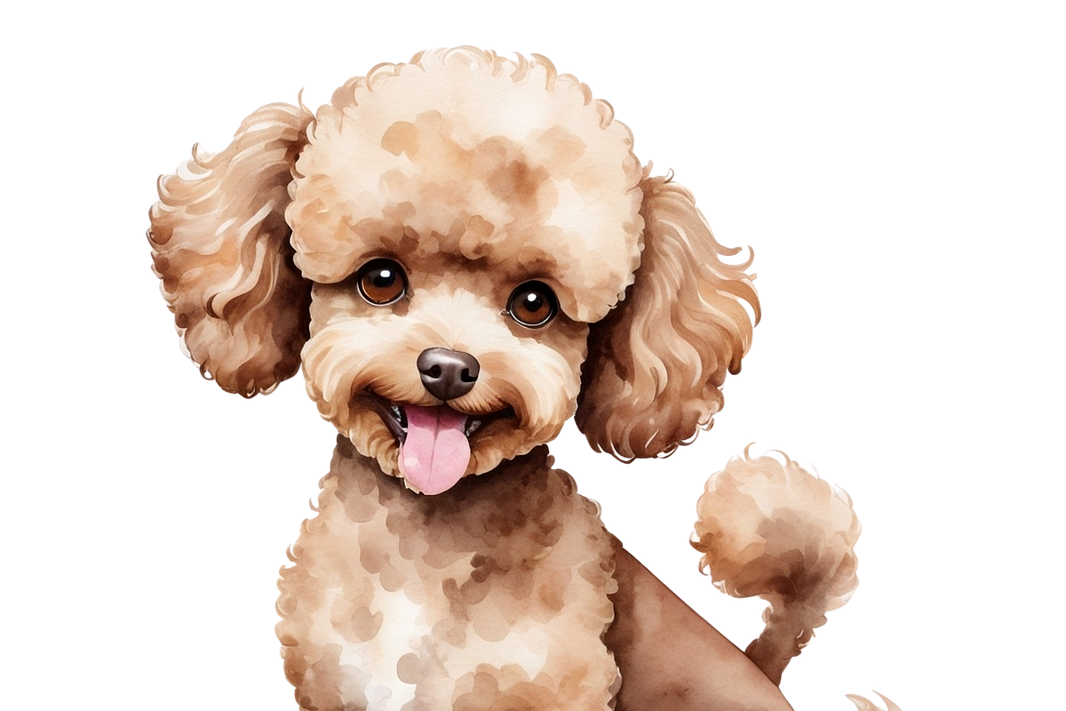 11PNG WATERCOLOR CUTE DOGS CLIPART, an Animal Illustration by Vachira Digital Studio (Photo 4 of 5)