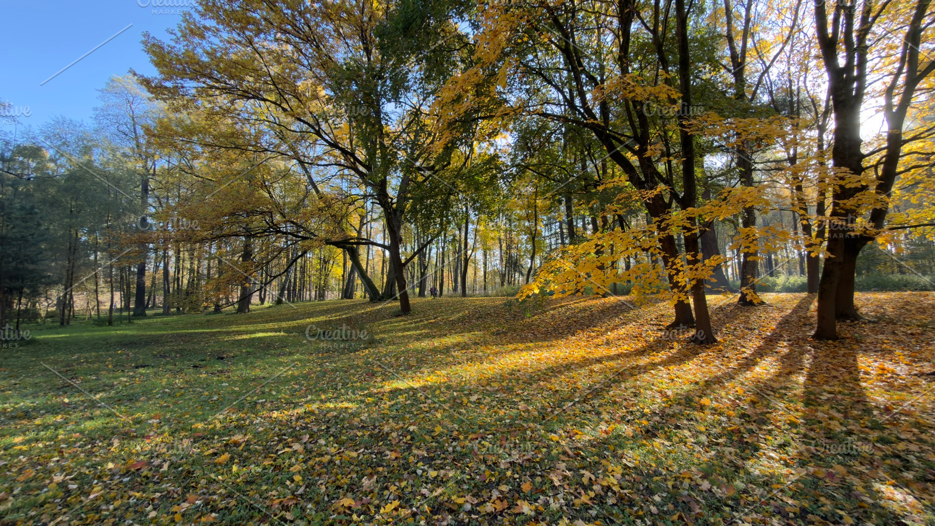 A serene autumn landscape with colorful foliage, sunlight filtering through tre, a Nature Photo by Textures & Backgrounds
