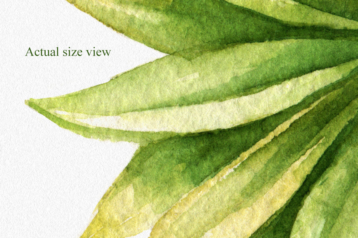 Watercolor Tropical Leaves, a Decorative Illustration by Chelovector (Photo 3 of 5)