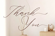 Starfield Brightens, a Script Font by operatype.co (Thumbnail 13 of 15)