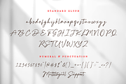 Hildera Script, a Script Font by Sronstudio (Thumbnail 14 of 15)