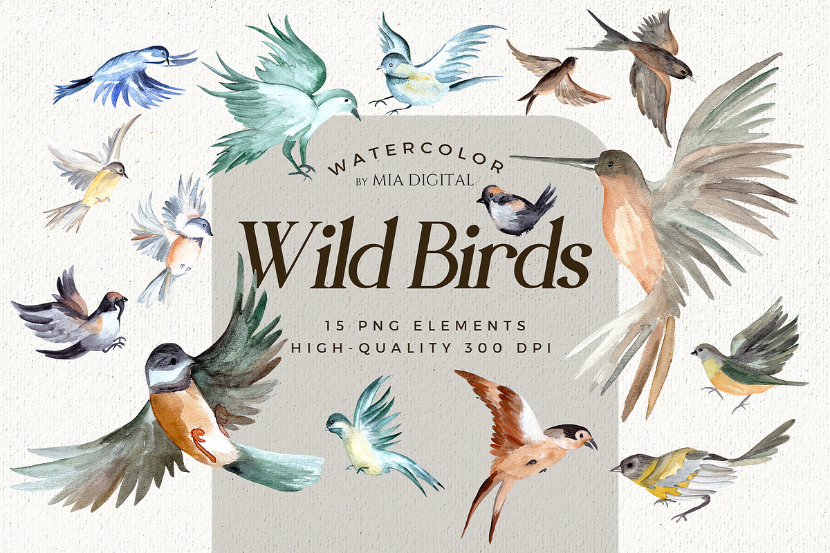 Watercolor Birds Clipart Set, an Animal Illustration by Mia Digital (Photo 1 of 5)