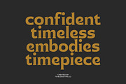 Namio Magah Modern Display Serif, a Serif Font by timelesstype.co (Thumbnail 6 of 20)