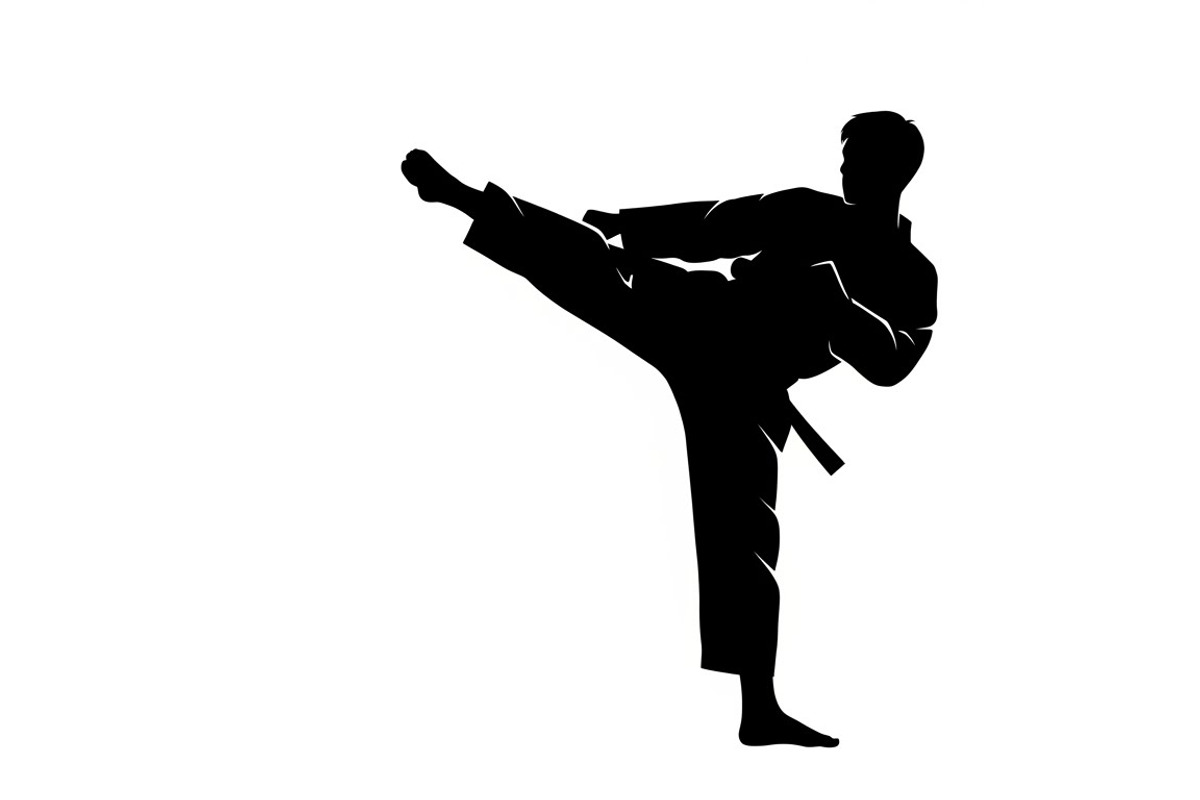 Dynamic martial arts kick silhouette, an Illustration by Amazin_art (Photo 9 of 36)