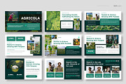 Modern Agriculture Google Slides, a Presentation Template by fluffstudio (Thumbnail 2 of 4)