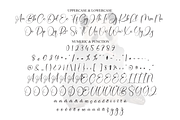 Panda | Script Font, a Handwritten Font by Scratchones (Thumbnail 7 of 9)